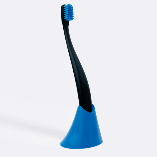 promis brush + holder | single