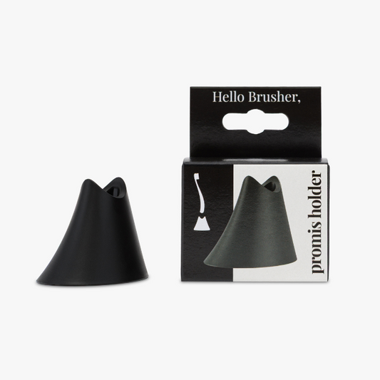 promis holder single