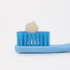 
promis brush single

