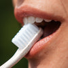 
promis brush trio
